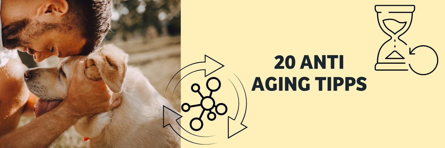 Anti Aging bei dogen