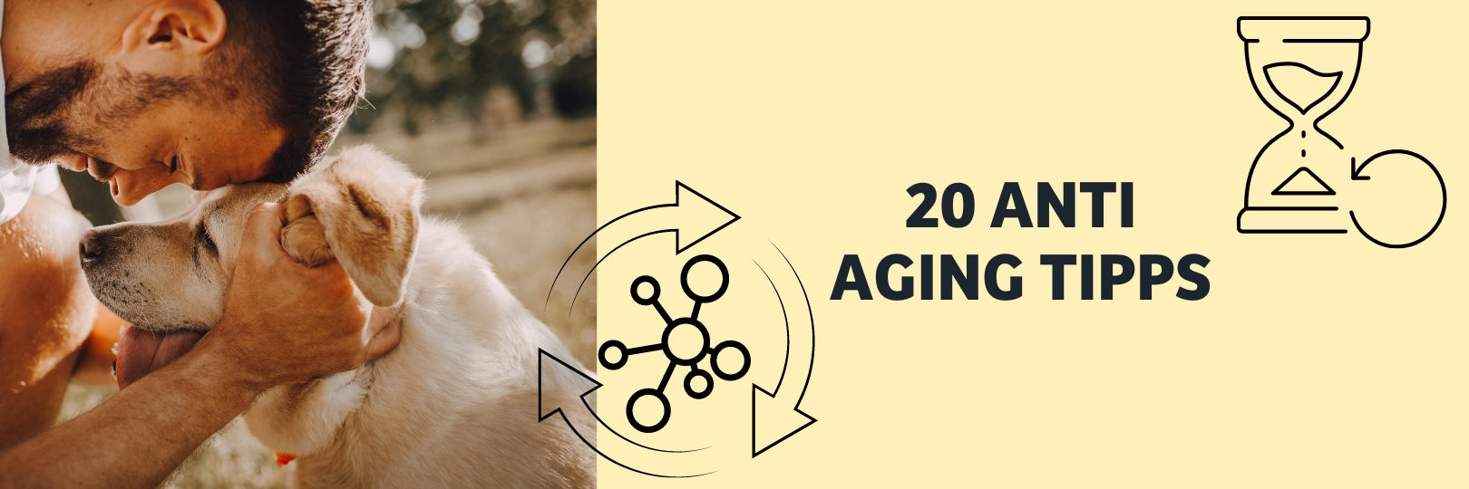 Anti Aging bei Hunden