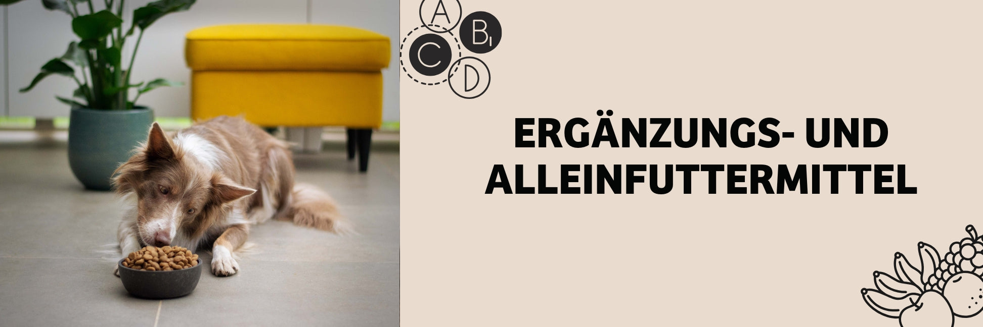 Ergänzungs- und Alleinfuttermittel sowie die FEDIAF Guidline