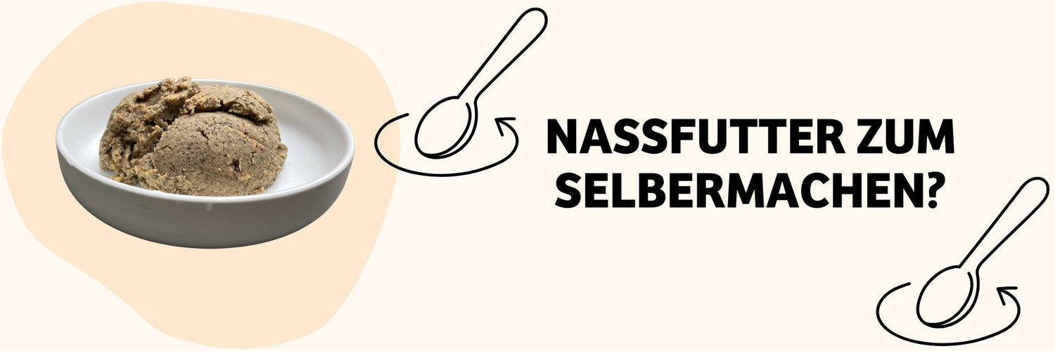 Nassfutter zum Anrühren: Vielfältige, nachhaltige Mahlzeiten für deinen Hund