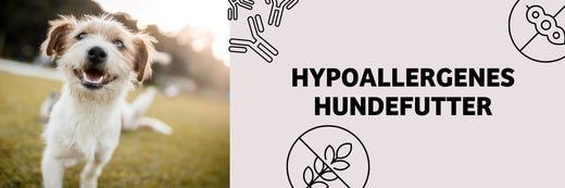 Hypoallergenes dog food