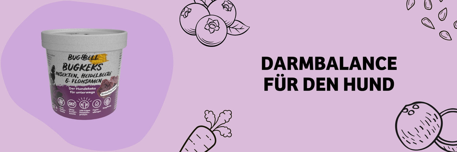 Detox beim Hund: Was wirklich hinter Entschlackung steckt