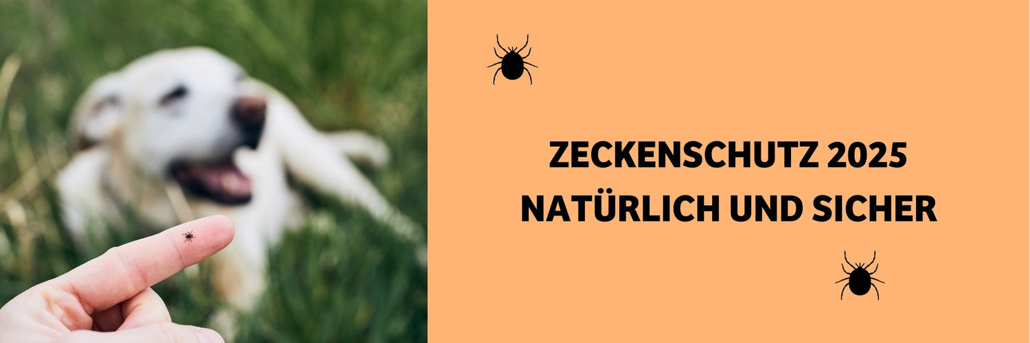 Zeckenschutz für Hunde: Natürlich, effektiv und ohne Chemie
