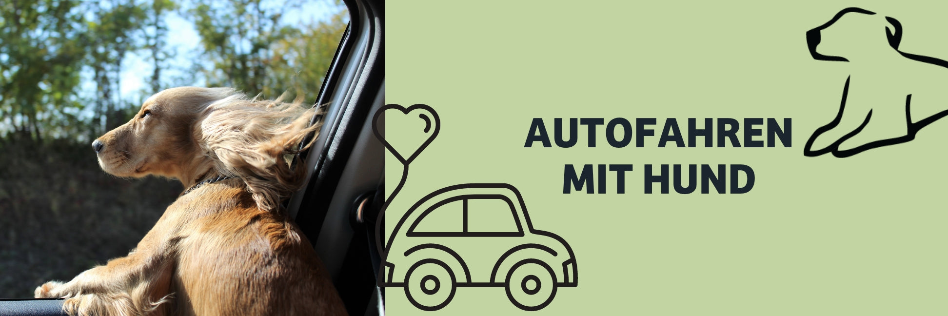 Entspannt_Autofahren_mit_Hund