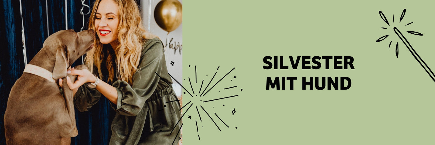 Silvester mit Hund – Stressfrei durch die Feiertage