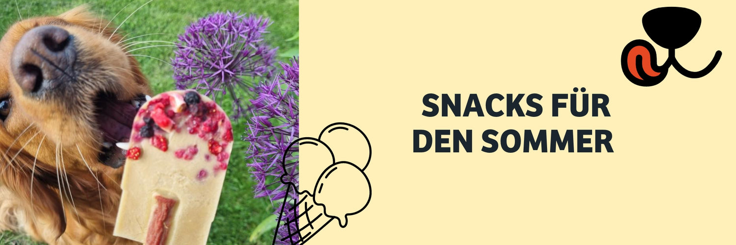 Schmackhafte und kühle Snacks für den Sommer