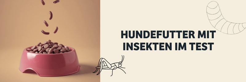 Hundefutter im Test mit Insekt