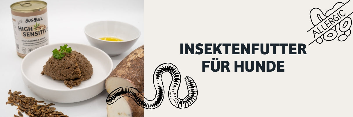 Insektenfutter für Hunde: nachhaltig, gesund & hypoallergen
