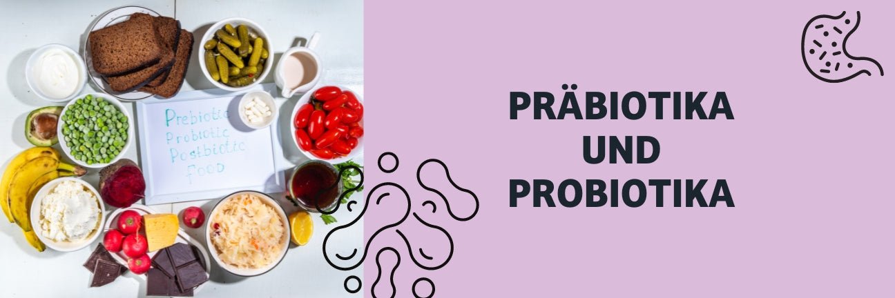 Probiotika und Präbiotika im dog food
