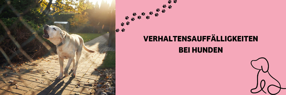 Verhaltensauffälligkeiten bei Hunden 