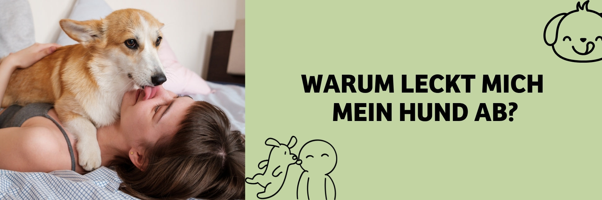 Warum leckt mein Hund mich ab? Ursachen, Bedeutung & wann es zu viel wird