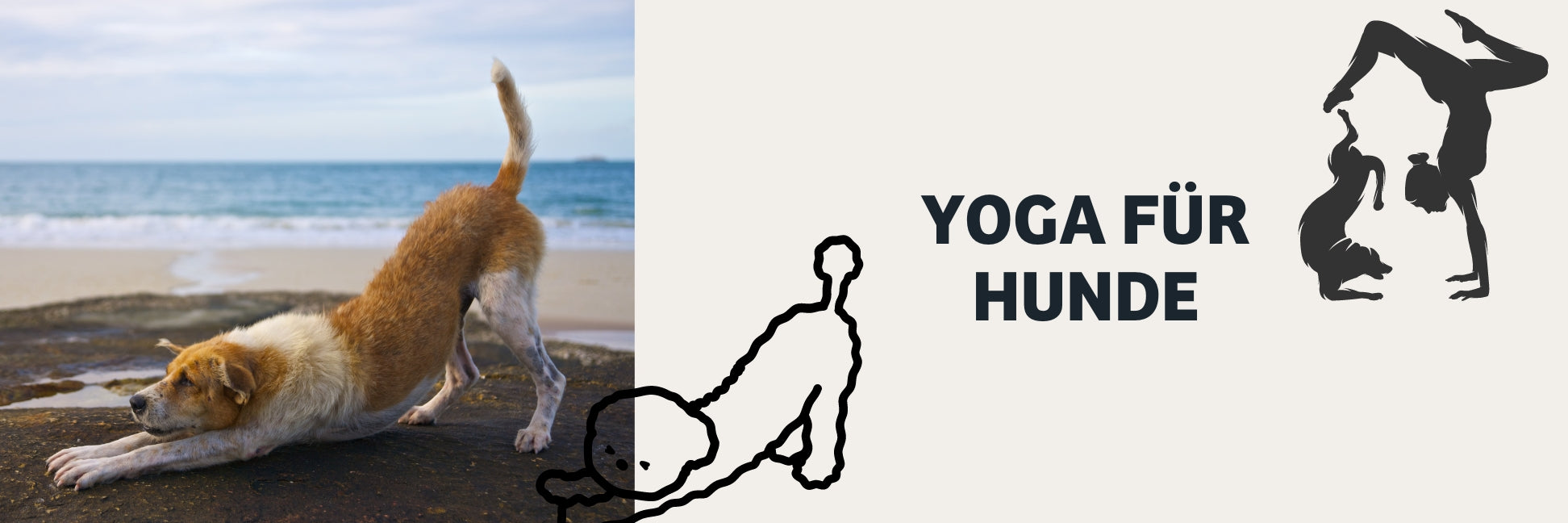 Yoga für Hunde