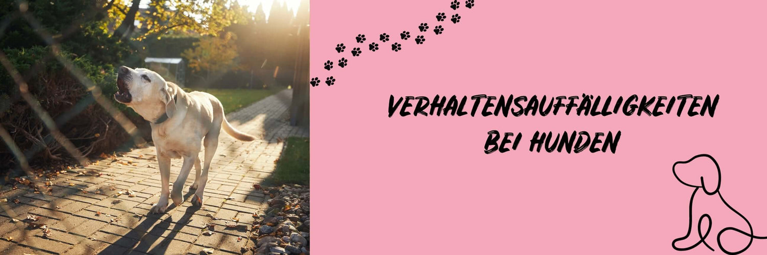 Verhaltensauffälligkeiten bei Hunden