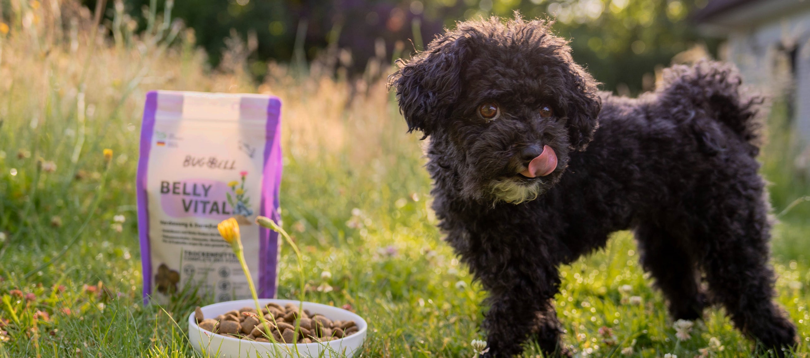 BellyVital Hundefutter für Magen & Darm