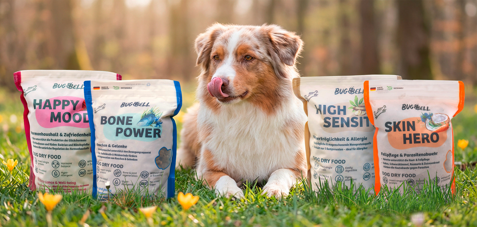 Hypoallergenes Trockenfutter für Hunde