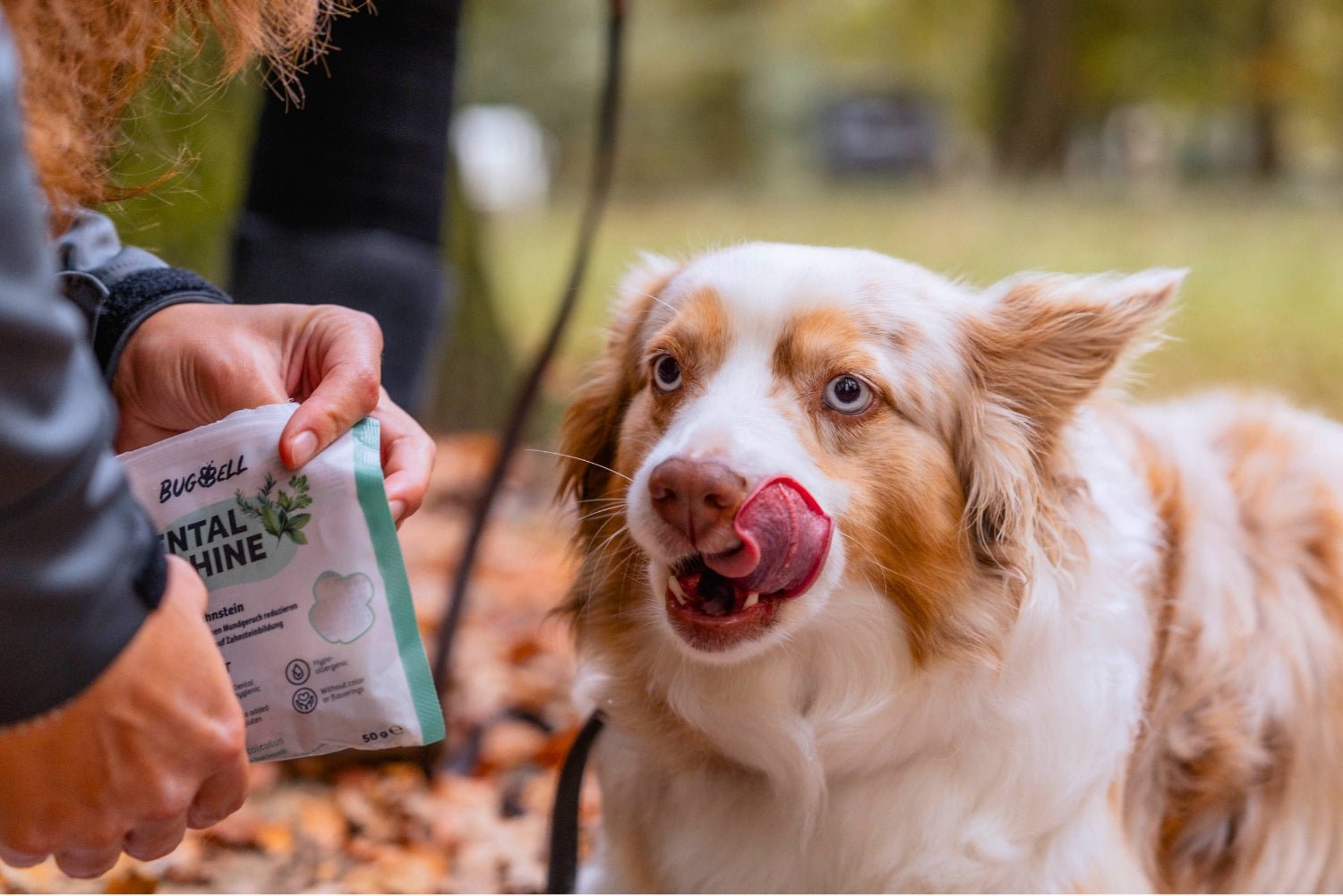 dog bekommt als dog treats Snacks für Dental Care & Fresh Breath