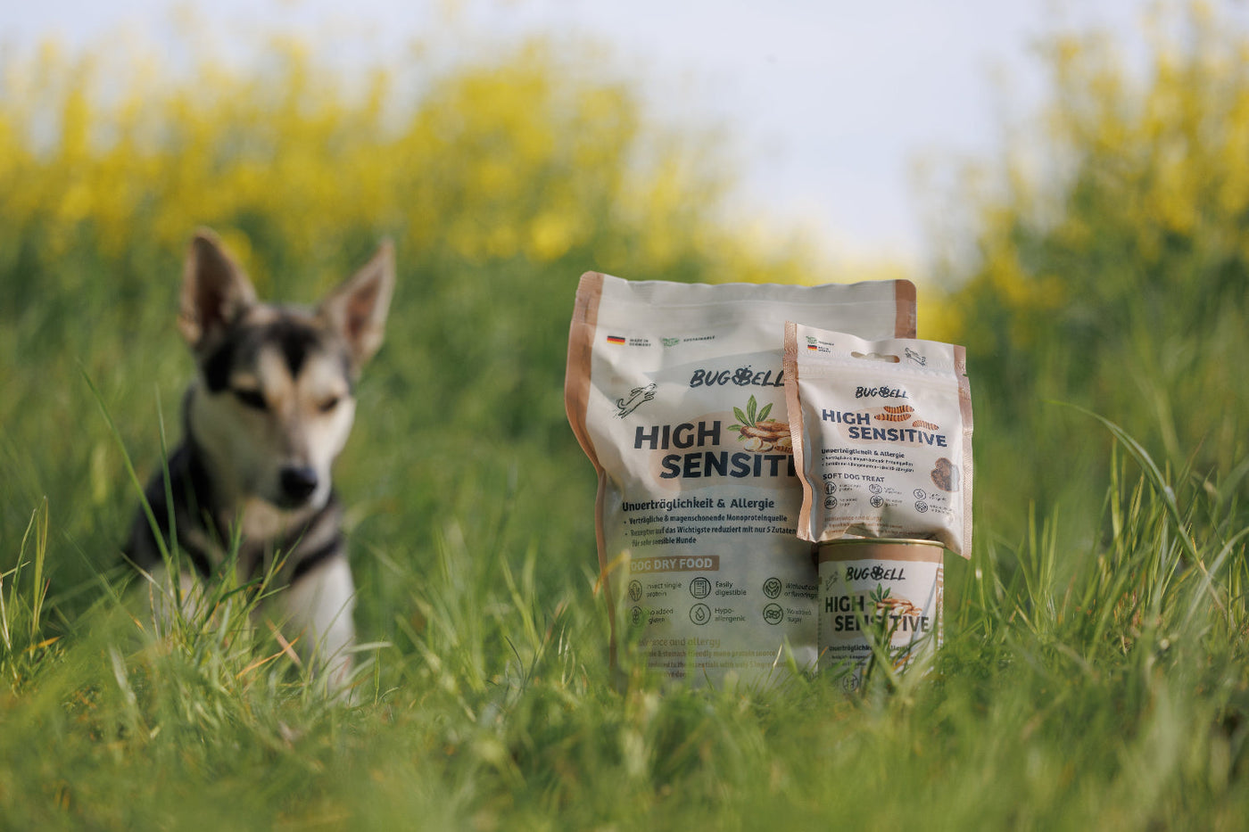 Hund liegt im Gras vor Schonkost Hundefutter