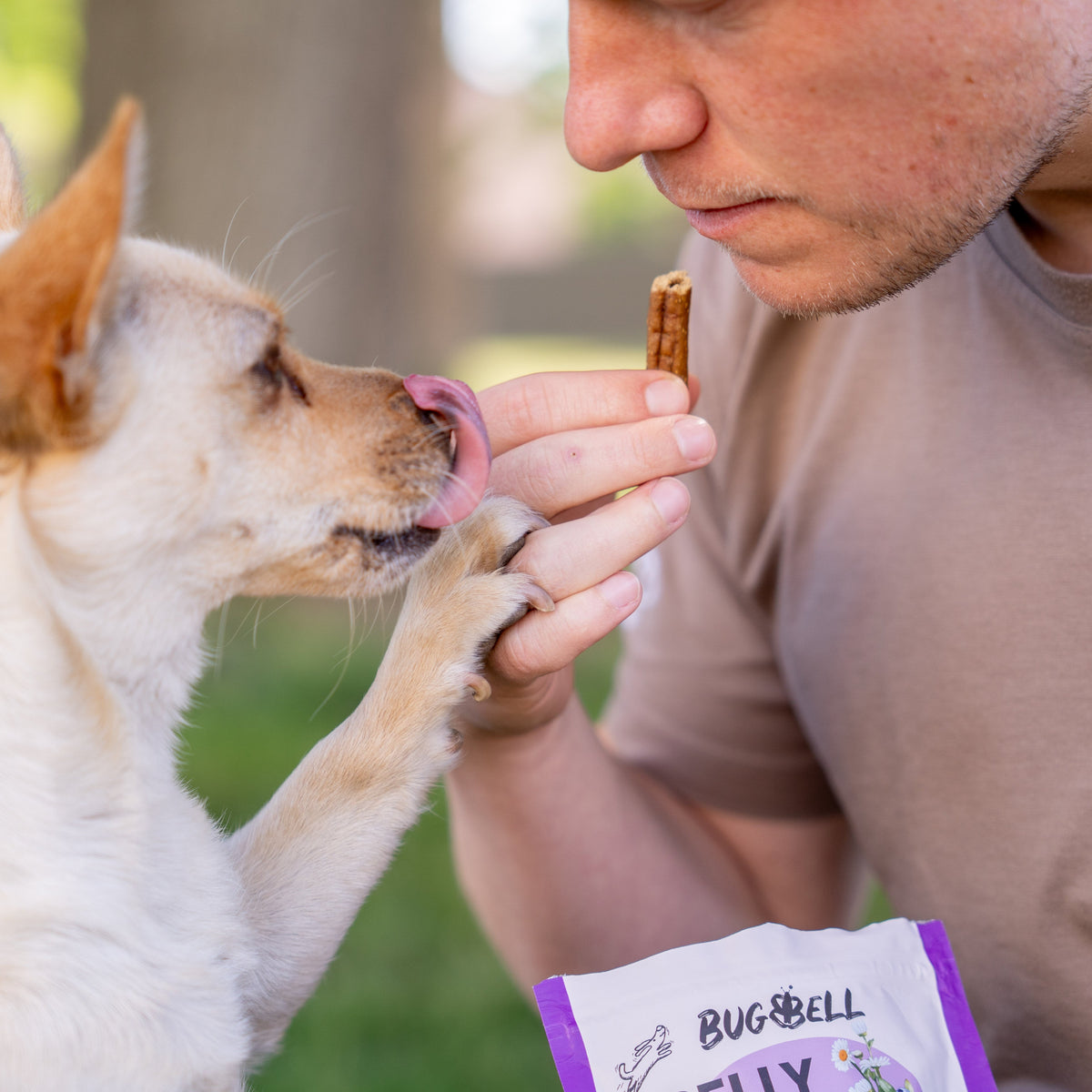 Bauchspeicheldrse & Pankreatitis beim Hund | BugBell