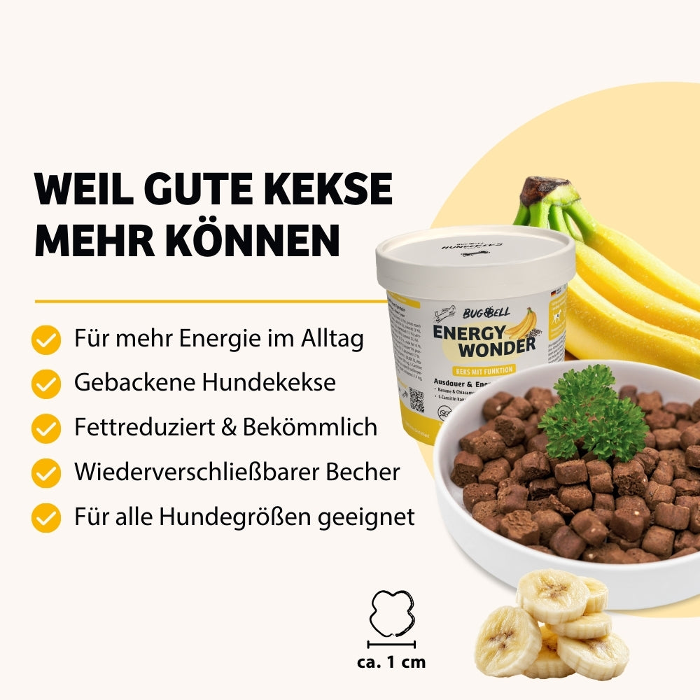 84646_03_BugKeks-EnergyWonder_Fakten