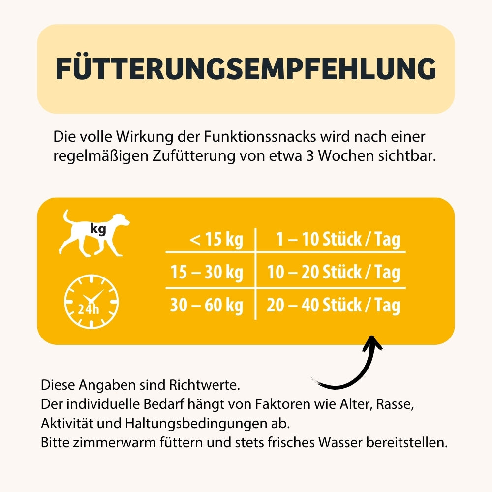 84646_07_Hundekeks-EnergyWonder_Fuetterung
