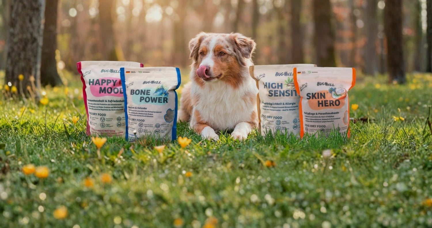 BugBell Hypoallergenes Insekten Hundefutter