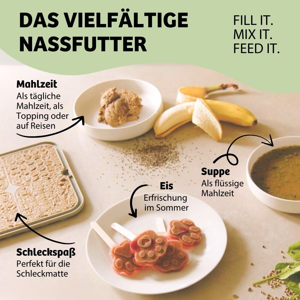 BugBell Terrinen als vielseitiges Nassfutter für Hunde – Mahlzeit, Suppe, Eis und Schleckspaß