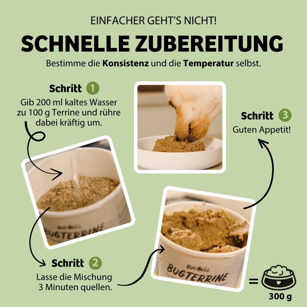 Nassfutter zum Anrühren für Hunde – schnelle Zubereitung mit Wasser in nur 3 Schritten