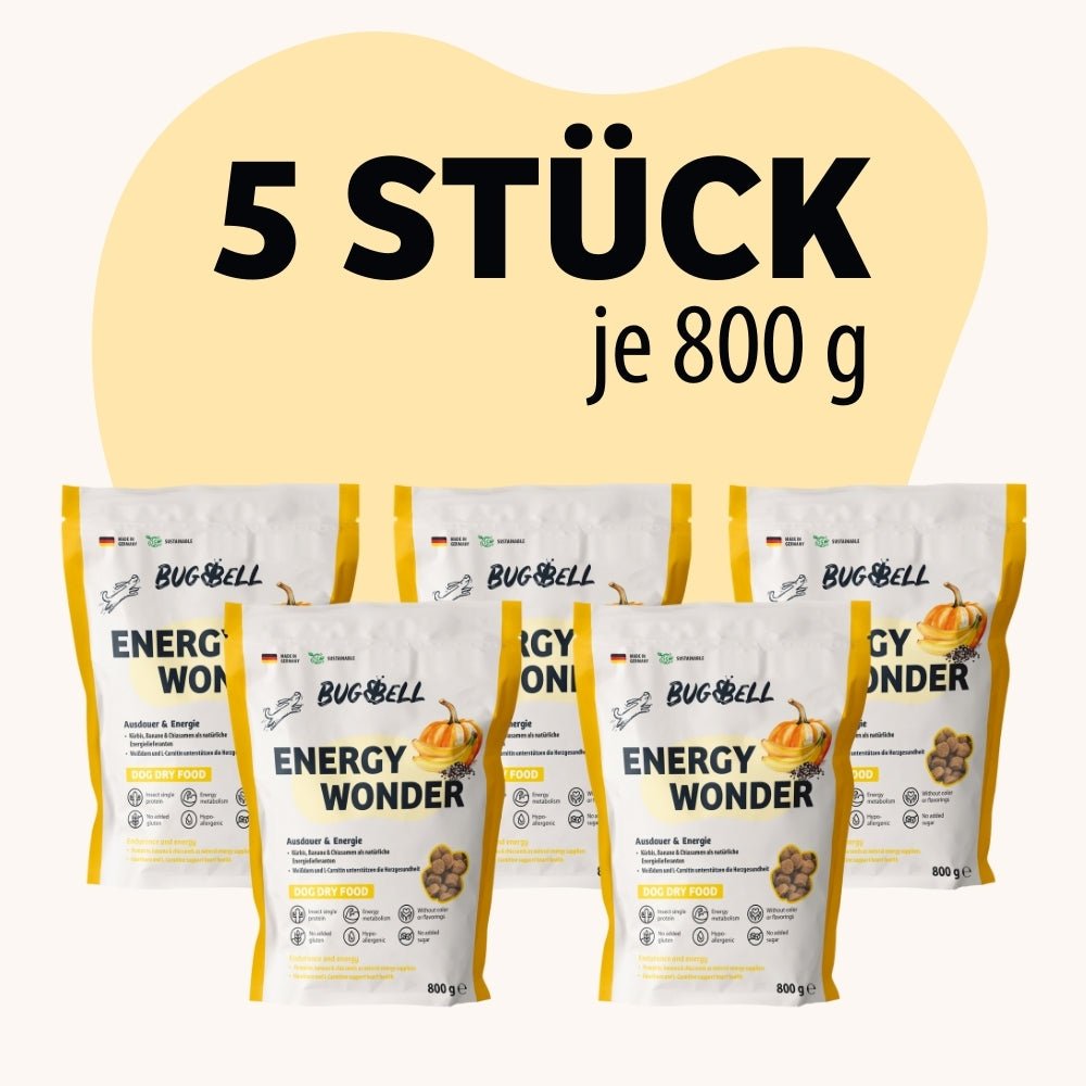 BugBell Energy Wonder Bundle (5 Stück): Trockenfutter für Hunde mit Kürbis, Banane und Chiasamen – perfekt für Ausdauer und Energie. Hypoallergen, getreidefrei und reich an Nährstoffen. Ideal für aktive Hunde und eine gesunde Ernährung!