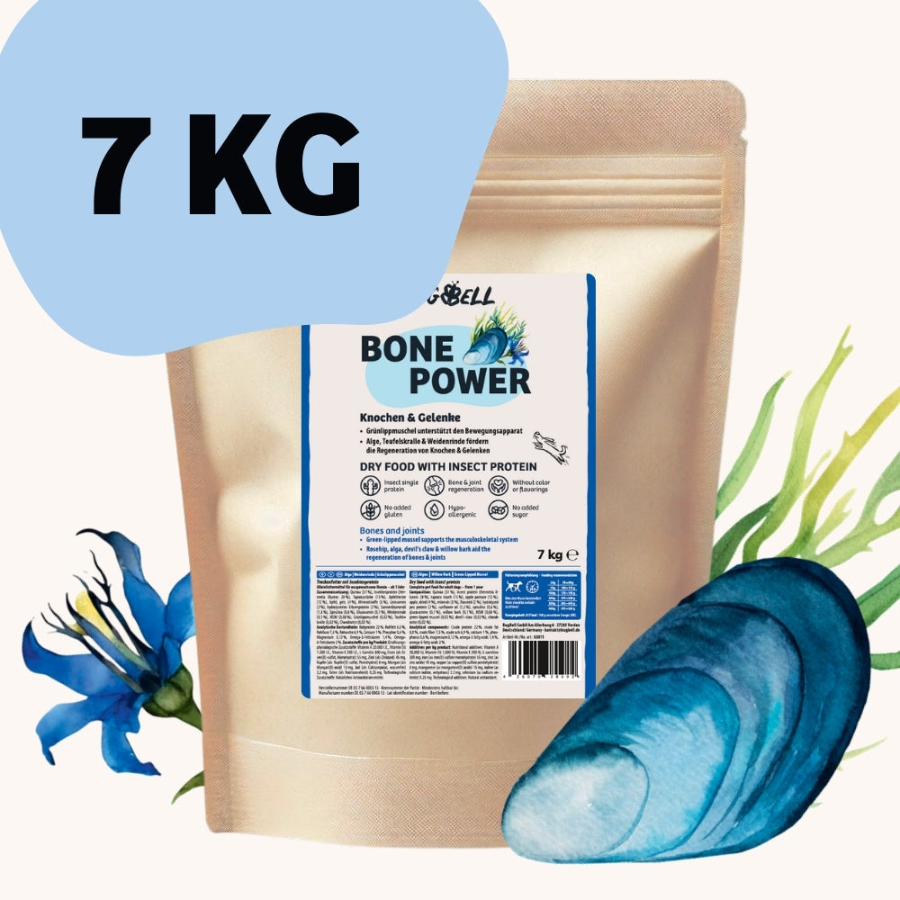 BugBell BonePower stärkt Knochen und Gelenke deines Hundes mit Glucosamin, Teufelskralle und Grünlippmuschel. Hochwertiges Insektenprotein unterstützt die Beweglichkeit, frei von künstlichen Zusätzen – ideale Ernährung für aktive Hunde.