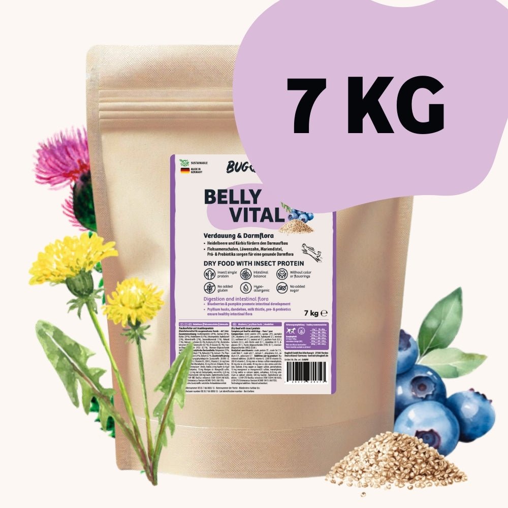 BugBell BellyVital unterstützt eine gesunde Verdauung und stabile Darmflora deines Hundes mit funktionellen Präbiotika, leicht verdaulichen Proteinen und gezielten Ballaststoffen. Hochwertiges Insektenprotein sorgt für eine gut verträgliche Nährstoffversorgung, während natürliche Inhaltsstoffe wie Präbiotika, Flohsamenschalen und Kräuter die Darmfunktion fördern – ohne künstliche Zusätze. Ideal für Hunde mit sensibler Verdauung und zur täglichen Unterstützung eines ausgeglichenen Darmmilieus.