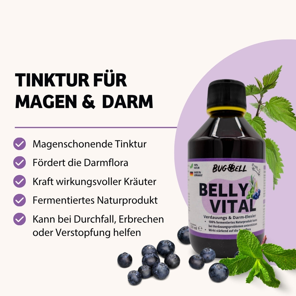 Vorteile Magen & Darm Elixier für eine gesunde Darmflora bei Hunden