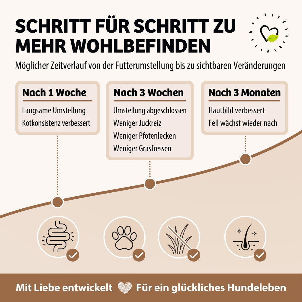 Wie und wann das Nassfutter HighSensitive wirkt