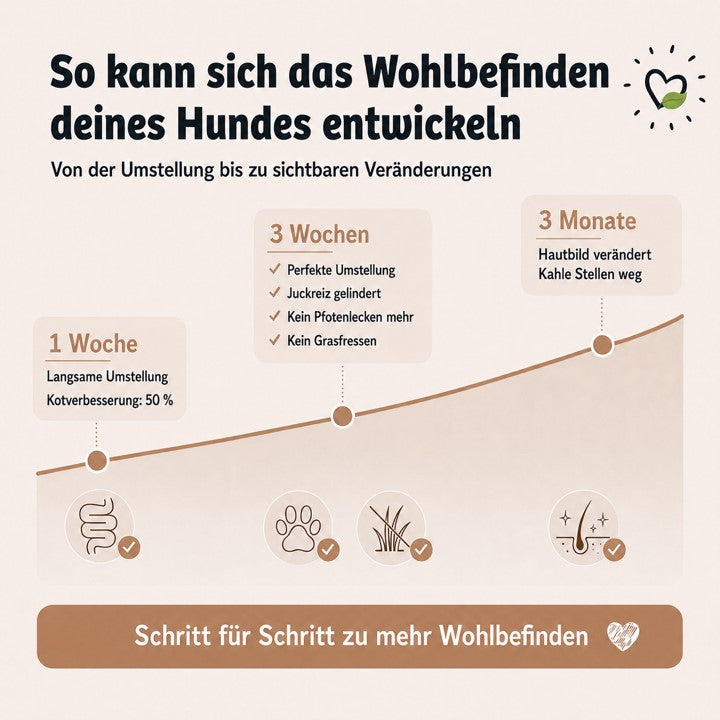 Wie und wann das Nassfutter HighSensitive wirkt