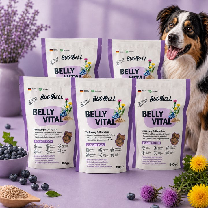 5 Beutel BellyVital im Probierpaket