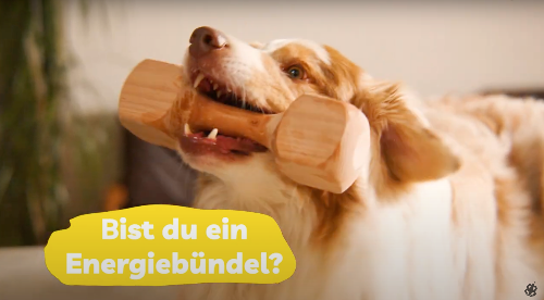 EnergyWonder Hundefutter