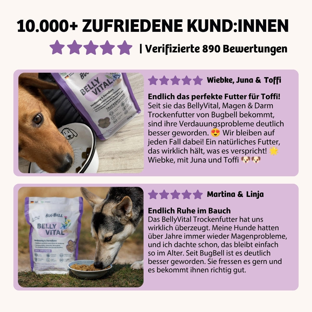 Trockenfutter BellyVital Review