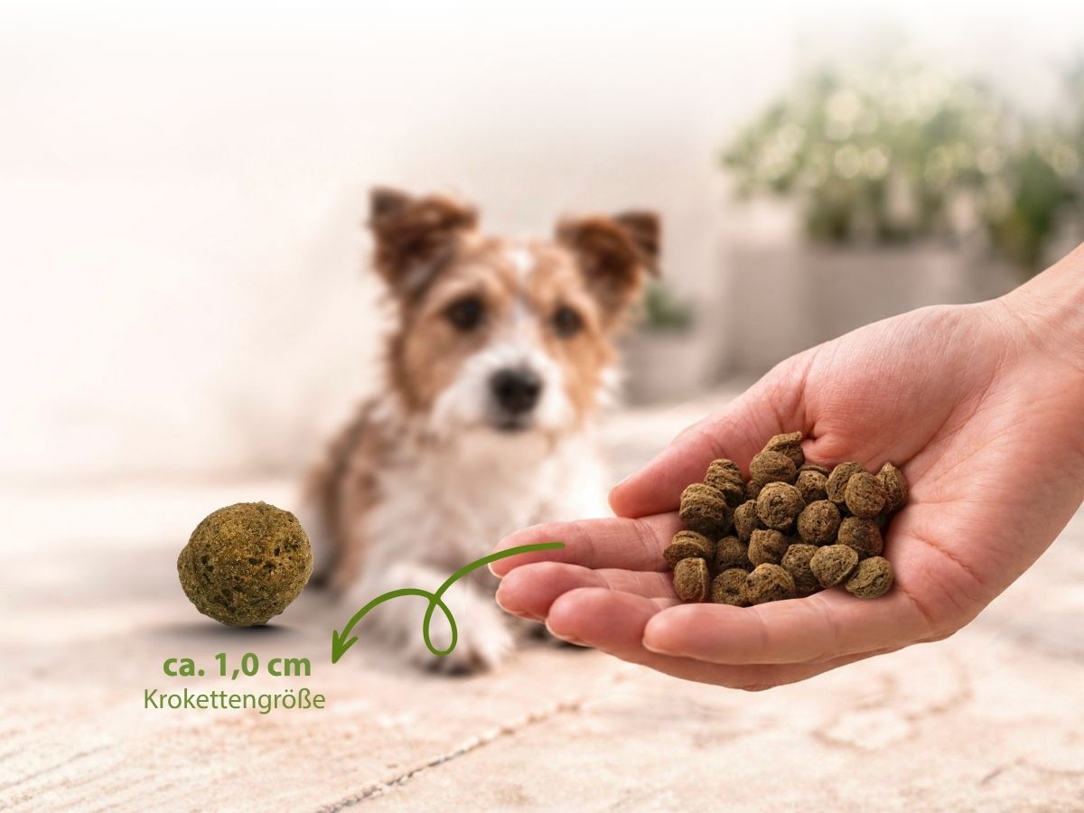 Hand mit Trockenfutter MagicRelax von BugBell