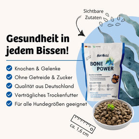 Bone Power Trockenfutter von BugBell unterstützt die Gesundheit von Knochen und Gelenken. Ohne Getreide und Zucker, mit sichtbaren Zutaten und Qualität aus Deutschland, ist es ein verträgliches Trockenfutter für Hunde aller Größen.