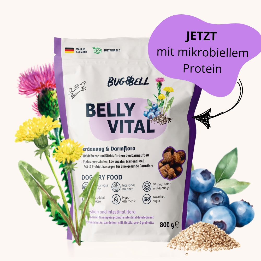 Trockenfutter_BellyVital_800g