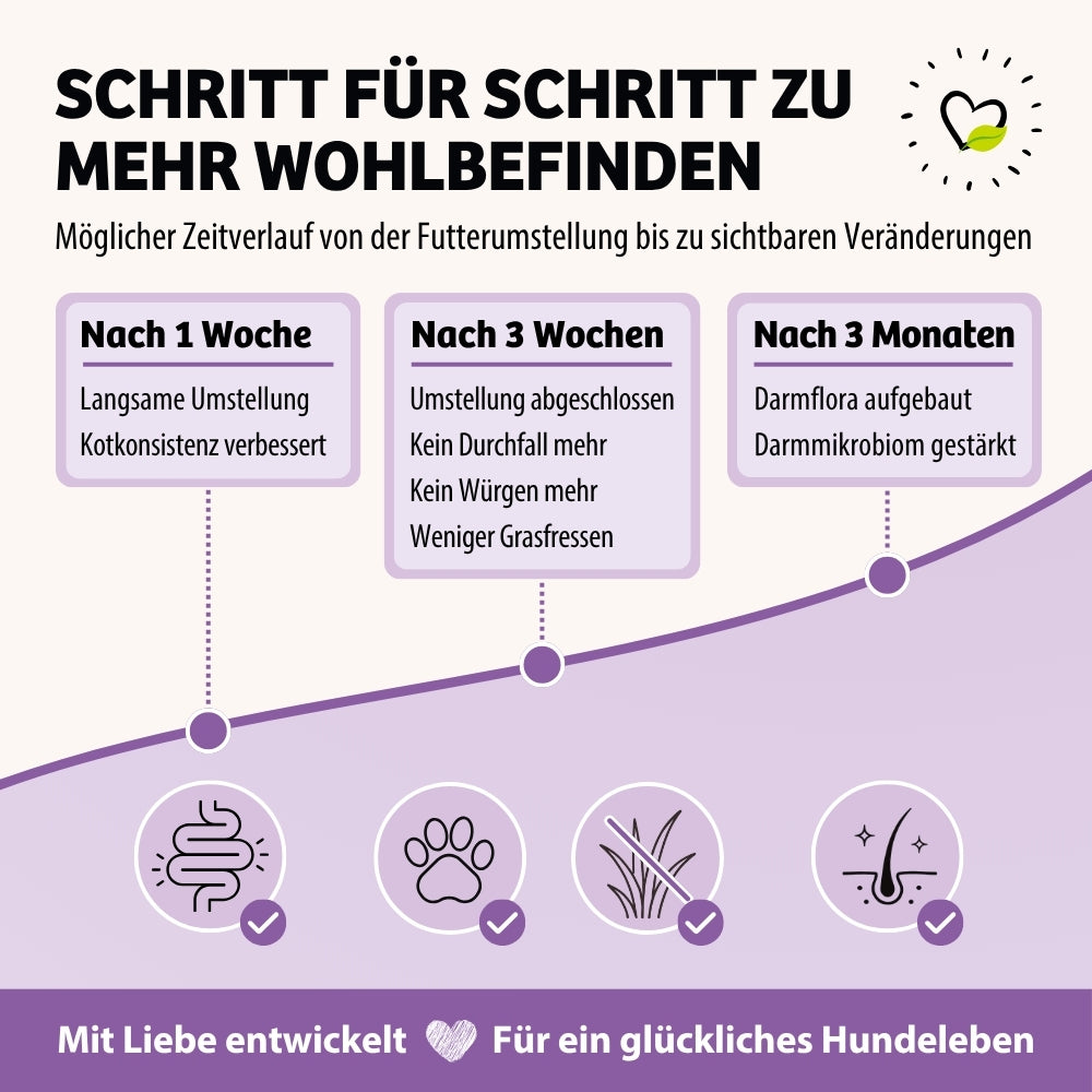 Trockenfutter BellyVital Veränderung
