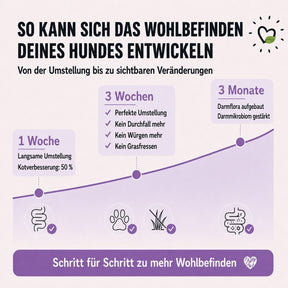 Trockenfutter BellyVital Veränderung