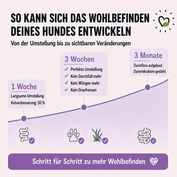 Trockenfutter BellyVital Veränderung