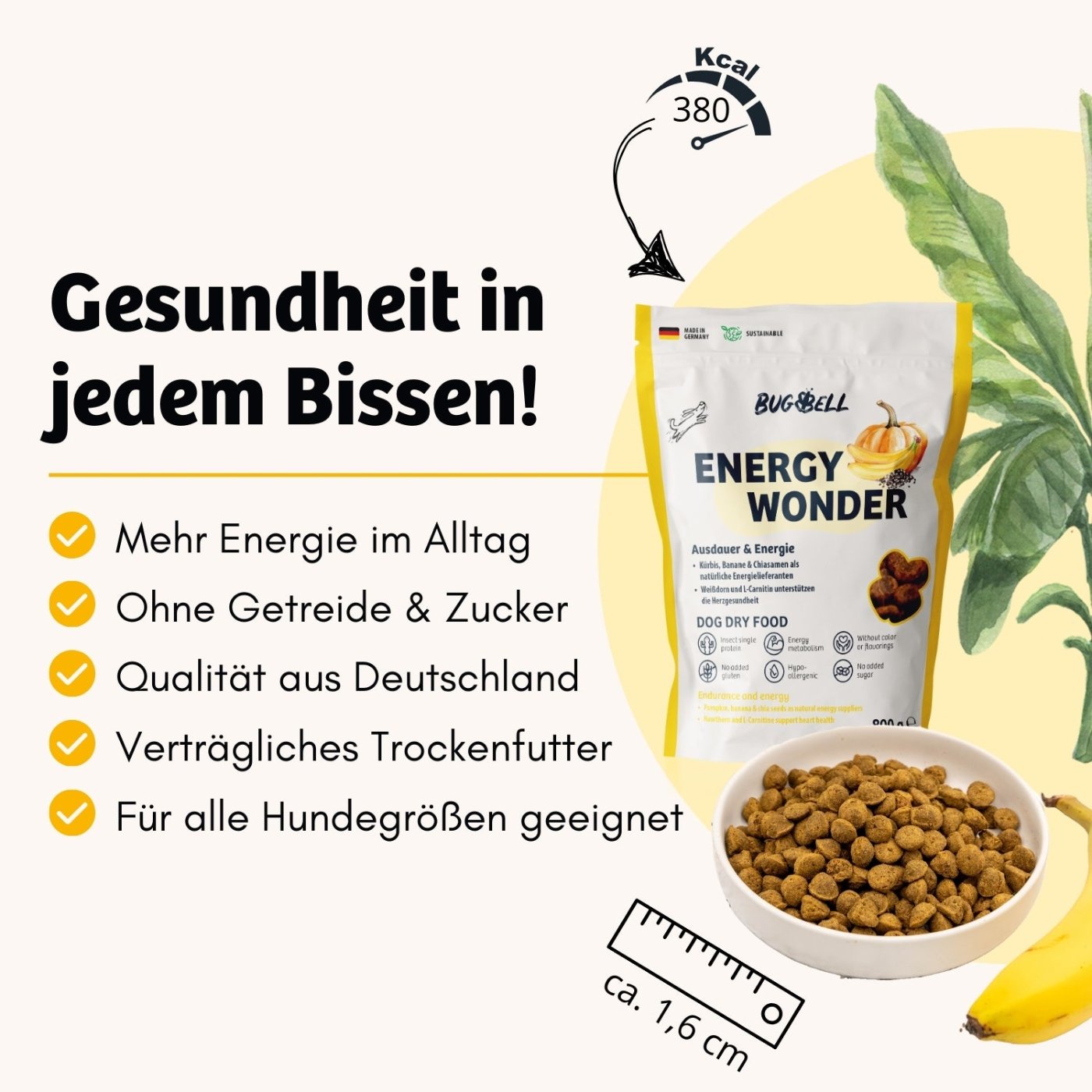 Das Trockenfutter Energy Wonder von BugBell bietet Gesundheit in jedem Bissen – es ist getreidefrei, zuckerfrei, liefert mehr Energie im Alltag und steht für höchste Qualität aus Deutschland. Dieses verträgliche Trockenfutter ist für alle Hundegrößen geeignet.