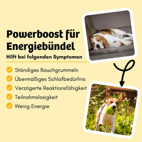 Nassfutter EnergyWonder - Ausdauer & Energie