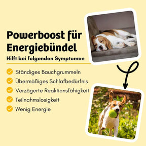 Hundekeks - Kraft und Energie