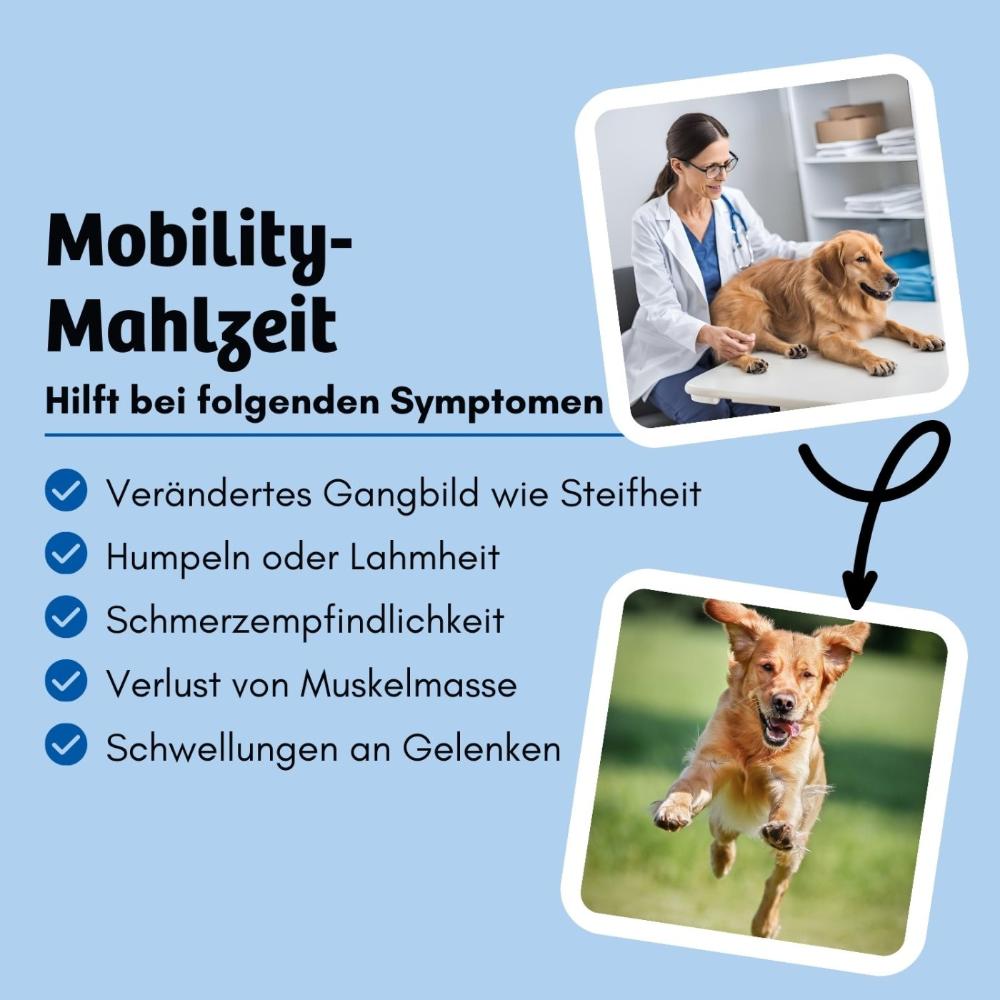 Die Mobility-Mahlzeit fördert die Gelenkgesundheit von Hunden und hilft bei Symptomen wie Steifheit, verändertem Gangbild, Lahmheit, Humpeln, Schmerzempfindlichkeit, Muskelabbau und geschwollenen Gelenken. Dieses Futter unterstützt die Mobilität und das Wohlbefinden Ihres Hundes effektiv.