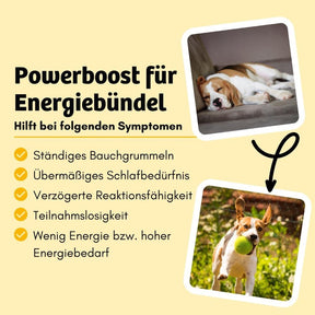 Das Hundefutter Energy Wonder bietet einen Powerboost für Energiebündel und hilft bei Symptomen wie ständigem Bauchgrummeln, übermäßigem Schlafbedürfnis, verzögerter Reaktionsfähigkeit, Teilnahmslosigkeit und geringem Energielevel oder hohem Energiebedarf.