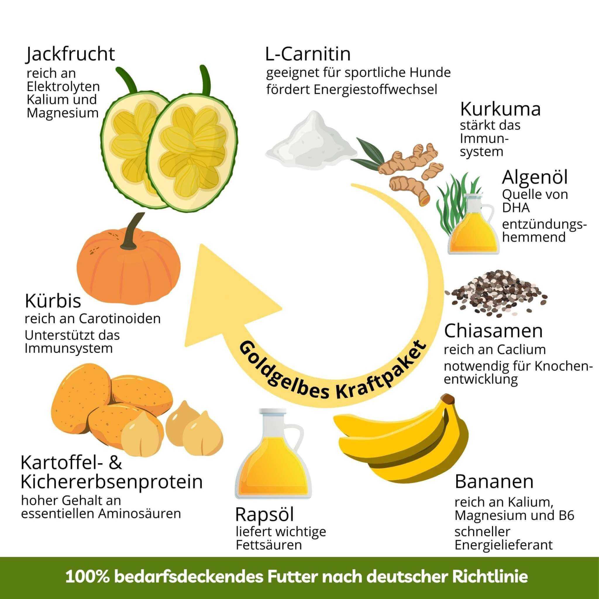 Veganes Nassfutter - Kraft und Energie - Banane & Chiasamen