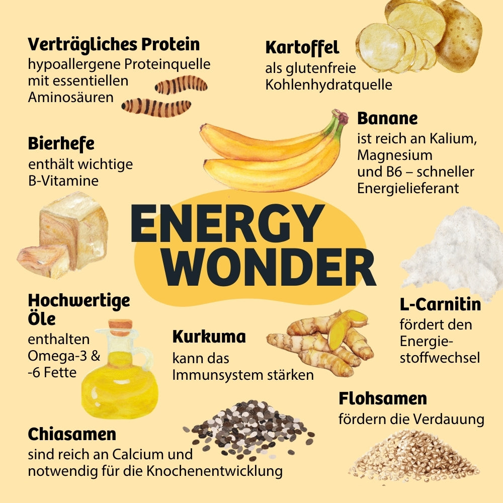 Zutaten EnergyWonder Terrine