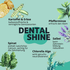 Inhaltsstoffe DentalShine 